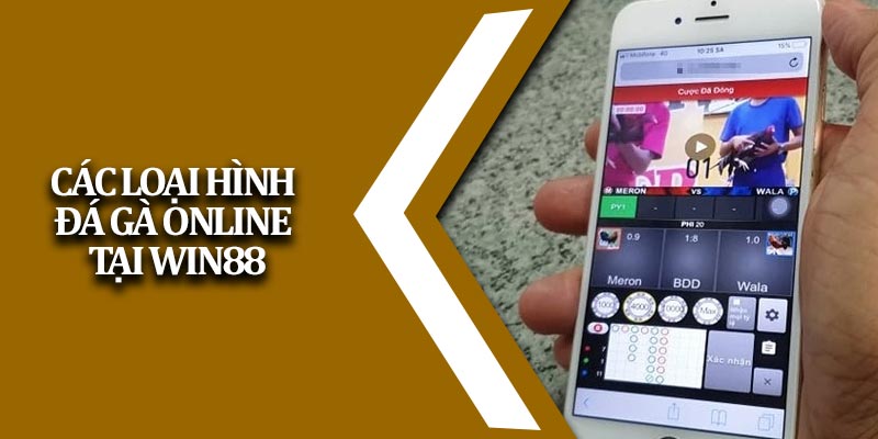Đá Gà Online